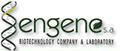 ENGENE S.A